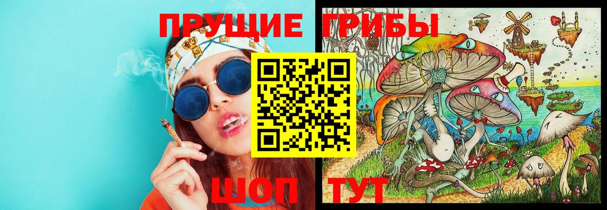 Ханты-Мансийск  Галлюциногенные грибы Psilocybine cubensis  Вход с VPN 